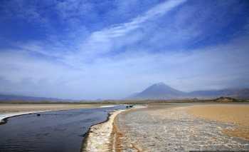 lake natron some fish要不要加复数