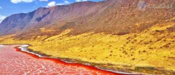 lake natron some fish要不要加复数