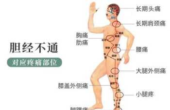 你认为古人怎么知道人体有经络穴位和第三只眼松果体的 中医经络学讲座