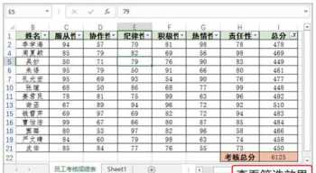 员工考核表 员工在考核期间的整体表现