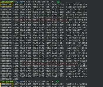 如何在嵌入式linux操作系统环境下进行程序的开发 嵌入式linux驱动开发必须用C语言吗