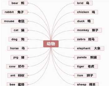 英语 单词 英语单词的格式