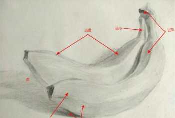 20岁零基础想学画画，应该从素描开始吗 零基础如何开始学素描