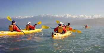 o开头的运动单词有哪些 kayaking