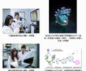 type的考点 compounds