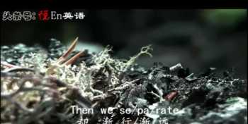 separate是什么意？separate separate和split有什么区别