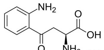 字母KN表示什么意思 kynurenine