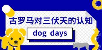 三伏天为什么是dogdays DOGDAYS完结了吗