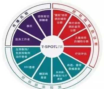 spot spot原唱是谁