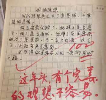 带着理想一路前行的作文 理想点亮人生作文