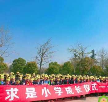 杭州求是小学入学条件 求是小学