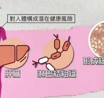 foodsafety 《食品卫生法》中关于食品（Food)的定义