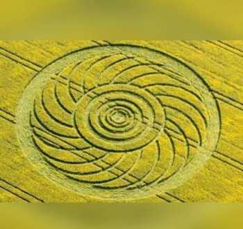 为什么谷歌地球不盯住英国麦田怪圈出现的地方 cropcircle