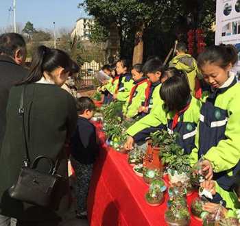 湘府中学 长郡湘府高中好不好